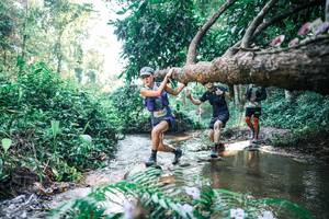 BIB: 
                            <button type="button" onclick="openModal(25438072)" class="btn btn-primary btn-sm float-right btn-popup" data-toggle="modal" data-target=".modal-high-quality">
                        <i class="fas fa-shopping-cart"></i> Add to Cart
                    </button>
                                            <button type="button" onclick="isThisMe(25438072, true)" class="btn btn-success btn-sm float-right btn-popup btn-isme hidden" data-toggle="tooltip" data-placement="bottom" title="นี่คือรูปของคุณใช่ไหม คลิกที่นี่เพื่อเอาเข้าอัลบั้ม">
                        <i class="fas fa-plus"></i> Add to album
                    </button>
                    <button type="button" onclick="isThisMe(25438072, false)" class="btn btn-warning btn-sm float-right btn-popup btn-isnotme hidden">
                        <i class="fas fa-ban"></i> Remove from album
                    </button>